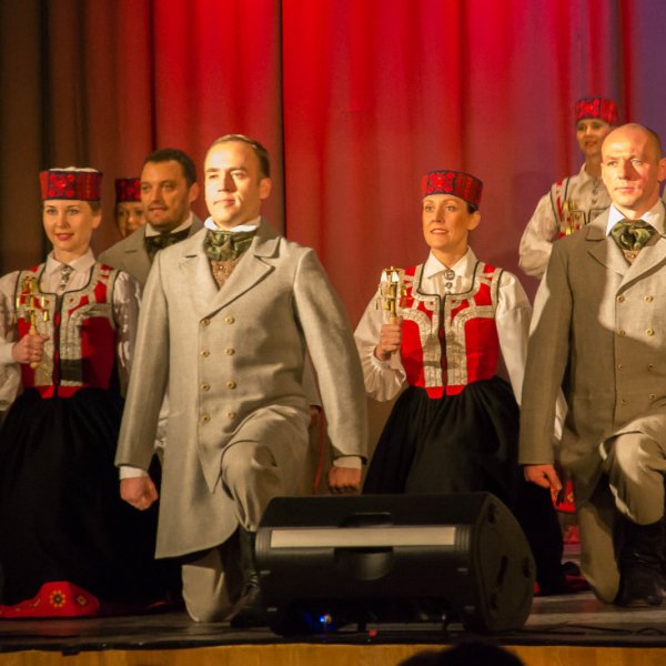 DOBELES ĀBOLU MAISS 2017